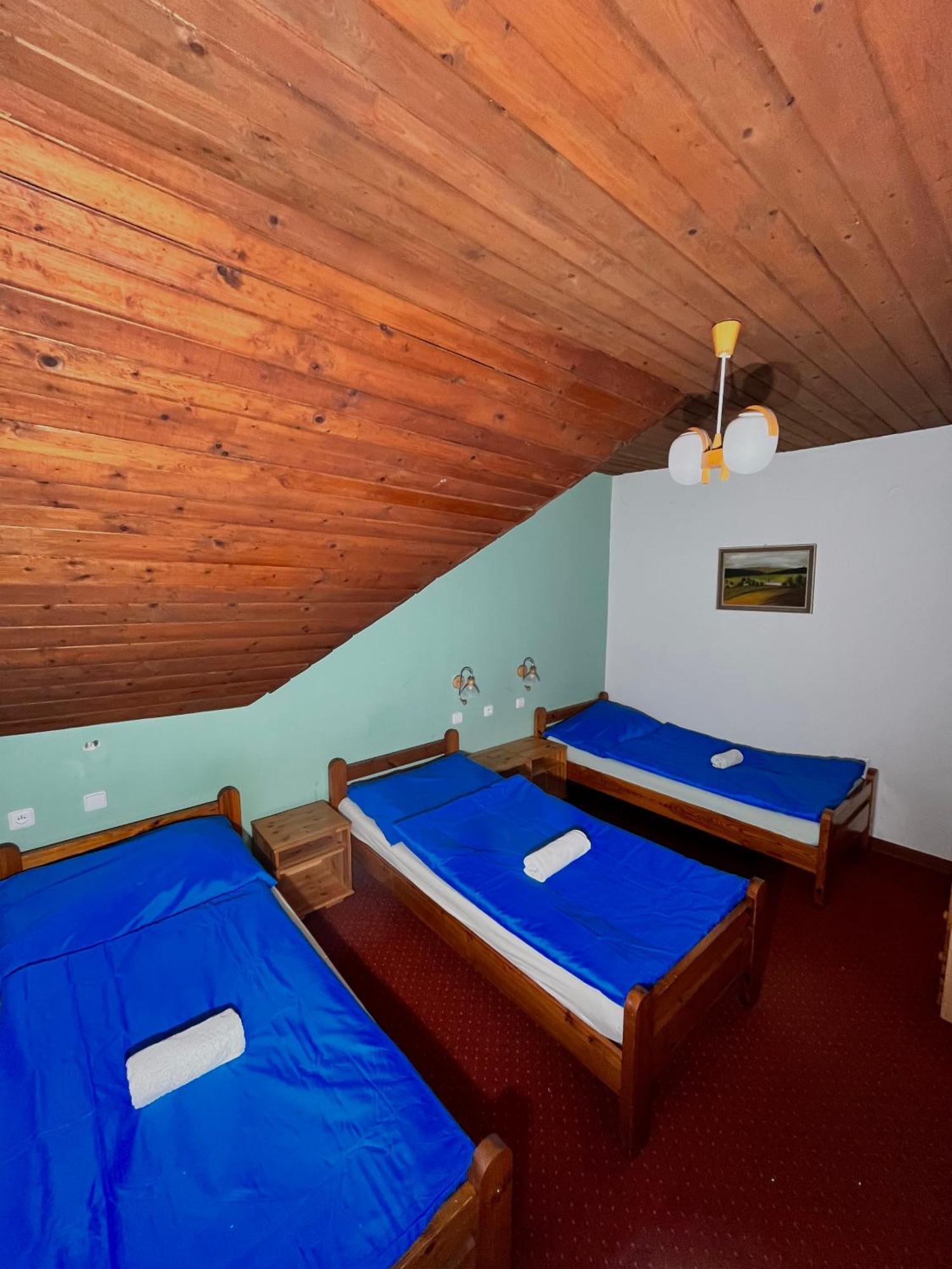 Vila Morava Hotel Liptovsky Mikulas Ngoại thất bức ảnh